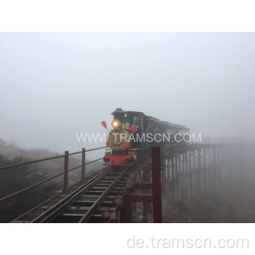 Diesel Sightseeing-Züge mit zwei Wagen